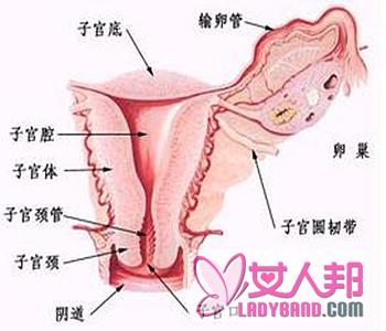 >【什么是子宫内膜增厚】子宫内膜增厚的原因_子宫内膜增厚的治疗