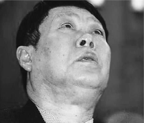 >李经纬儿子李健东 李经纬被“东方魔水”健力宝呛死