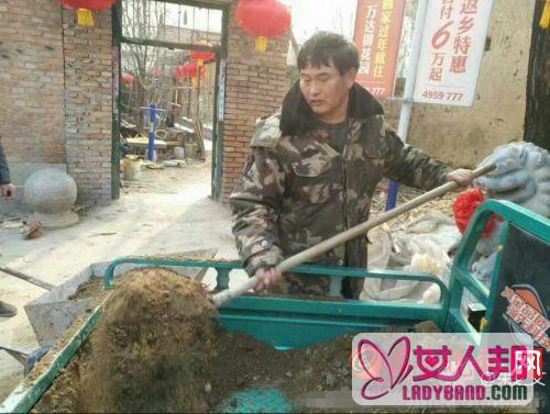 大衣哥朱之文自己动手修理菜园 妻子贤惠地在旁边帮忙