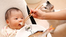 >宝宝吃鱼过敏是怎么回事怎么办