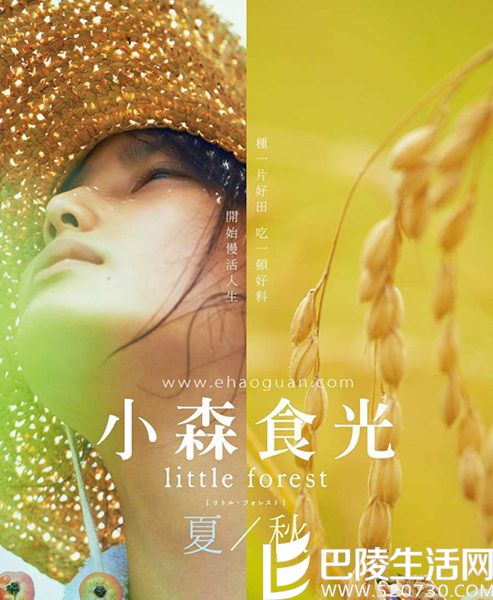 分享日本美食电影小森林  赏析开篇之作夏秋篇图片