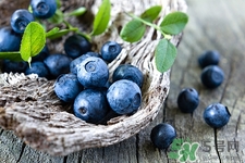 >野生蓝莓和养殖蓝莓的区别是什么?哪些人不能吃野生蓝莓