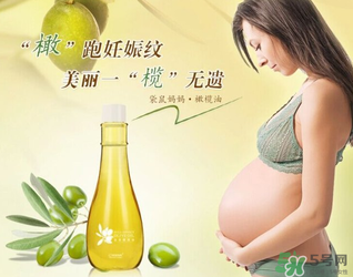 袋鼠妈妈橄榄油的功效 袋鼠妈妈橄榄油成分