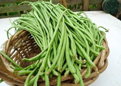 缸豆多少钱一斤2017？缸豆能和韭菜一起吃吗？