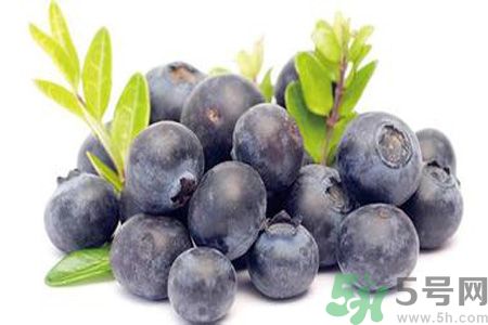 >什么是蓝莓李果？蓝莓李果和蓝莓的区别？