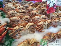冬天可以吃螃蟹吗?冬天吃螃蟹吃公还是母?