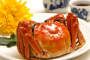 >螃蟹什么季节最好吃？螃蟹几月份吃最好？