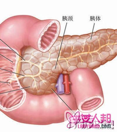 >胰腺癌转移能活多久呢 胰腺癌的治疗是个系统的过程