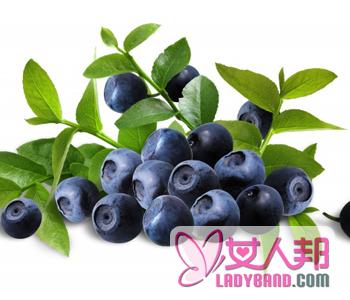 >【野生蓝莓】蓝莓叶黄素_蓝莓酒