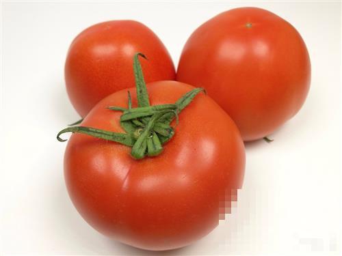 >西红柿的营养价值及功效与作用