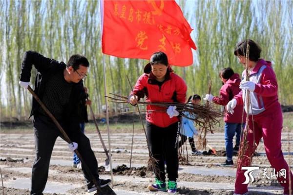 >山西马朝晖 痴心为路鼓与呼——记蓝山县公路局通讯员马朝晖