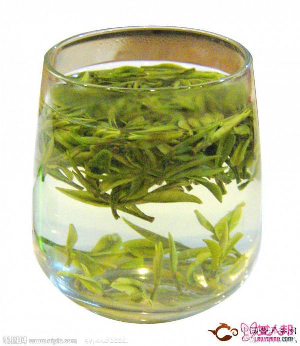 >白茶是什么茶 白茶的功效和作用
