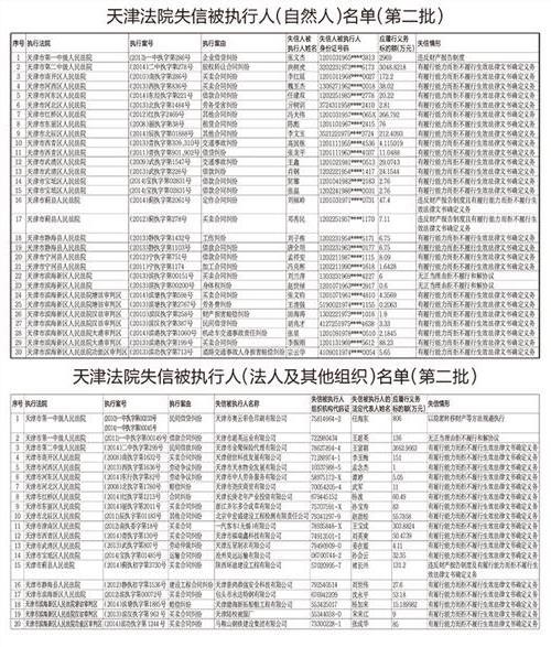 天津法院首次公布失信被执行人名单