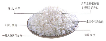 粳米的功效与作用之增强肠胃蠕动