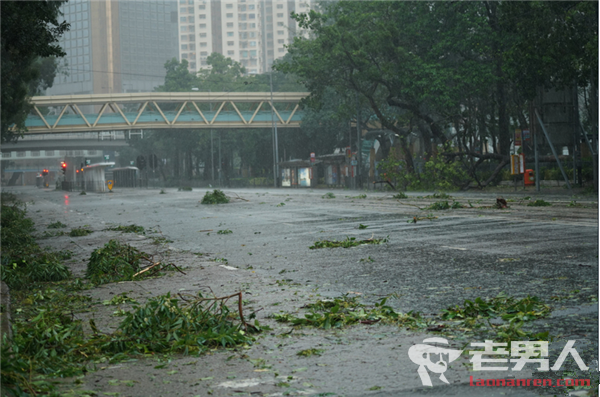 台风肆虐香港致200多人受伤 多处树木和棚架倒塌