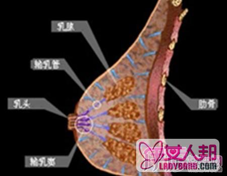>乳腺增生结节会癌变吗 为你介绍乳腺增生结节预防方法