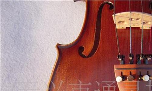 中提琴演奏家孟雯然获奖 登上卡耐基音乐大厅