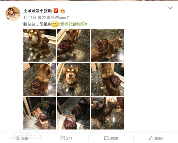 王思聪讽唐嫣炫富 给爱犬背上同款限量LV包