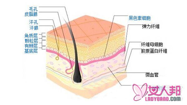 >怎样去角质 去角质的正确方法介绍