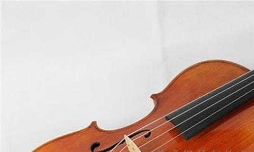 大提琴中提琴 斯特拉迪瓦里制作的中提琴和大提琴分析