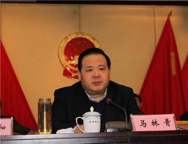 安阳市长王新伟妻子 市长马林青主持召开安阳市政府第九十次常务会议