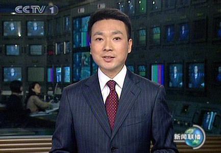 康辉揭秘央视主播工资:李瑞英1月28万是谣言
