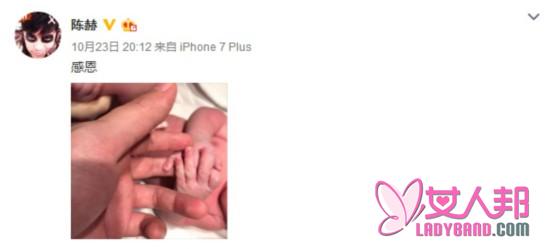 陈赫宣布当爸爸 裴勇俊安在旭元彬 最近几个月升级当爹的男星盘点【组图】