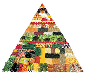 饮食金字塔结构图片正着吃还是倒着吃