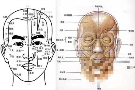 >脸部穴位图你看过吗 学习它让自己变得更健康