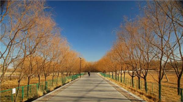 永昌北海子公园 北海子公园是永昌的一处美丽又富饶的旅游景点