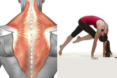 >斜方肌中下束拉伸动作 简单方法告别肌肉酸痛