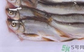 鲷鱼的营养价值 鲷鱼的功效与作用及食用方法