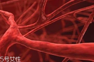血管塞有什么征兆？这4个现象要警惕