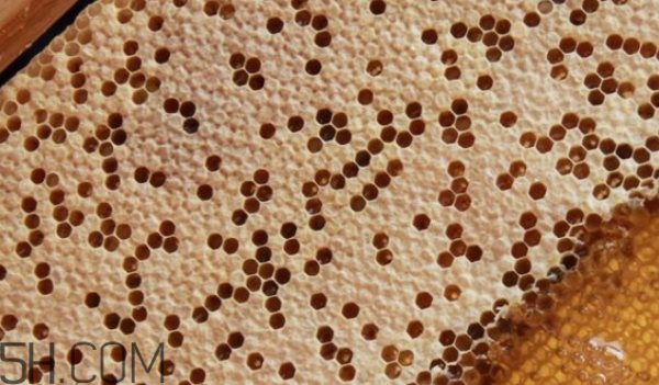 真蜂蜜和假蜂蜜的区别？蜂蜜家庭食疗方