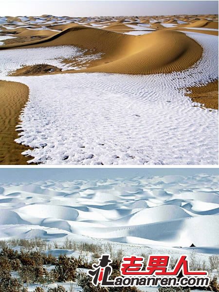 >震憾！世界10大最迷人沙漠【图文】