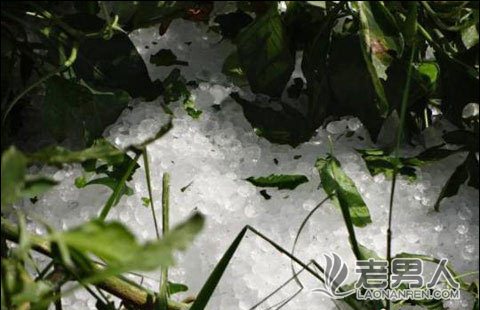 甘肃部分地区遭受风雹灾害 致1人失踪13.7万人受灾