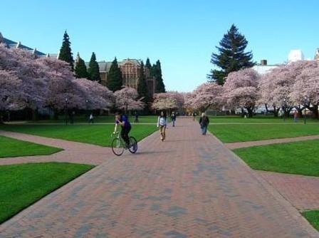 美国华盛顿大学西雅图分校(uw)2014最新排名