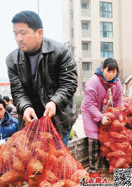 “萝卜哥”韩红刚卖红薯遭疯抢  一上午卖出3万斤【图】