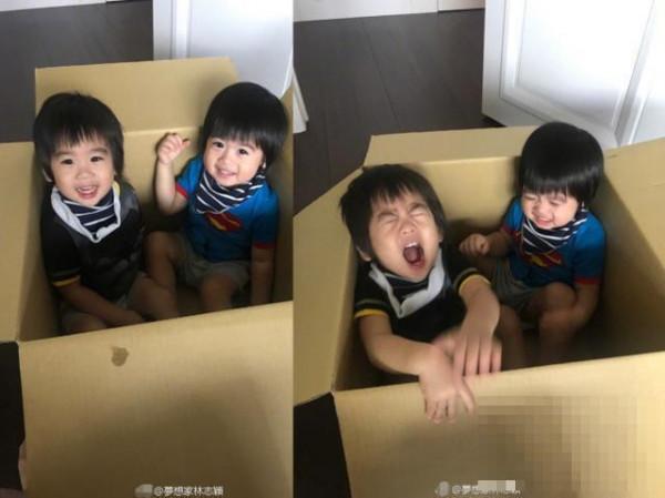 >林志颖晒双胞胎儿子在纸箱里开心玩耍 看到都很开心