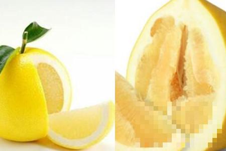 柚子的功效与作用及禁忌简单了解 消食化气好处备受众人关注
