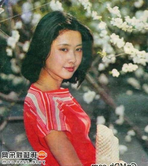 >徐少华朱琳最美的遗憾 中国最美女演员朱琳近况?揭秘她和徐少华的当年情