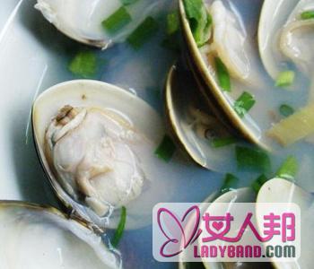 >【蛤蜊汤的做法】蛤蜊汤的营养价值_蛤蜊汤的热量