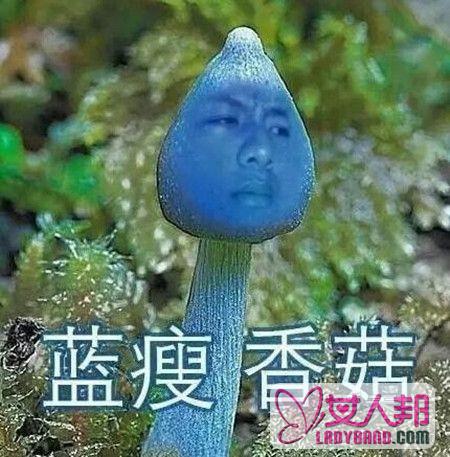 蓝瘦香菇是什么意思？蓝瘦香菇全套表情包