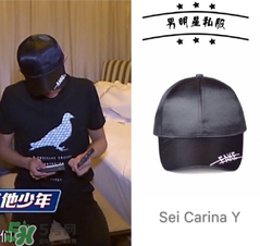 >高能少年团张一山棒球帽是什么牌子？sei carina y棒球帽怎么样？