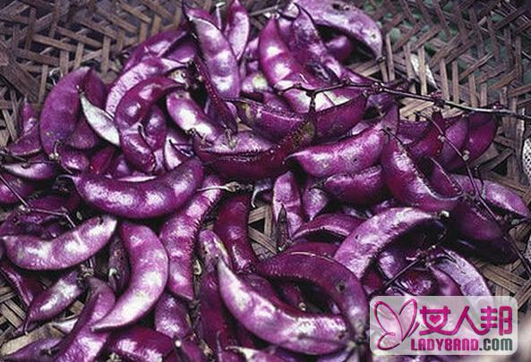 >紫扁豆的营养价值和功效