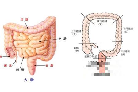 右半结肠癌症状介绍 哪些方法可以预防
