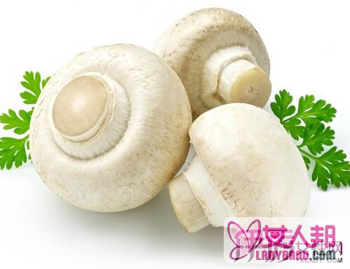 蘑菇的功效与作用及食用方法 蘑菇种类的做法大全