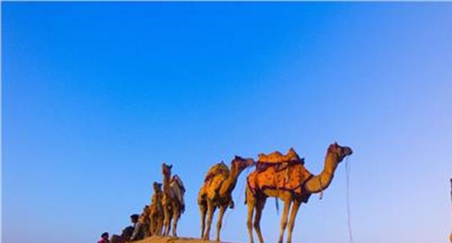 【沙漠骆驼mp3下载】央视《开门大吉》 现场演绎《沙漠骆驼》