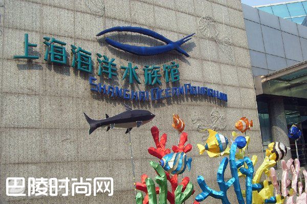 上海海洋水族馆 上海豫园怎么样|上海环球金融中心 上海科技馆简介