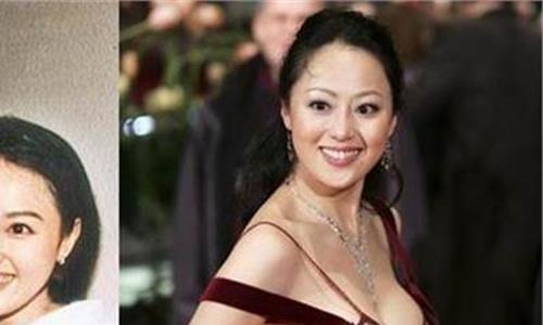 章小蕙是个怎样的人 章小蕙将儿子赶出美国 女儿称章家是“老鼠家庭”